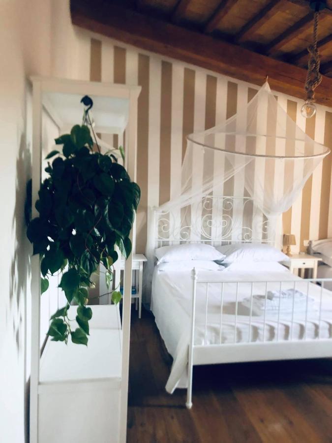 Ab B&B Ischia di Castro Zewnętrze zdjęcie